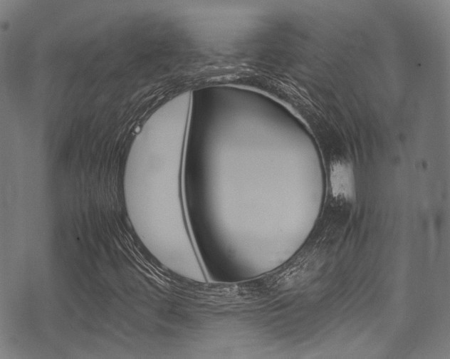 X0000075381444200609080900
