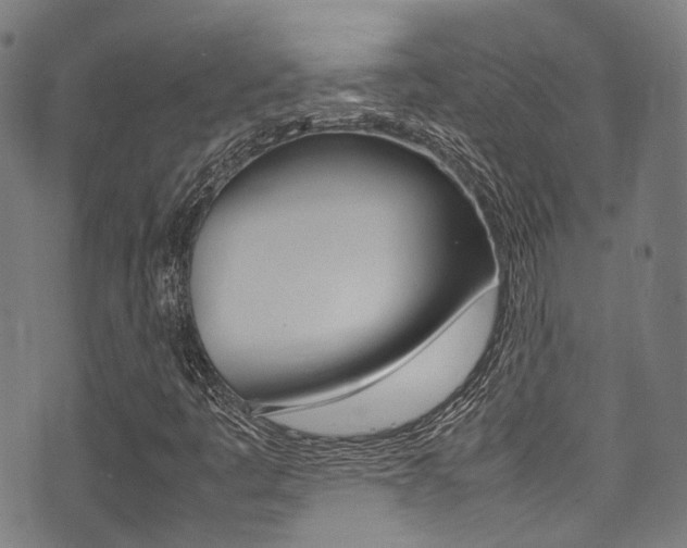 X0000075381445200609080900