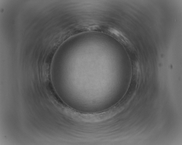 X0000075380030200609081216