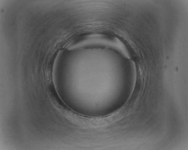 X0000075380031200609081216