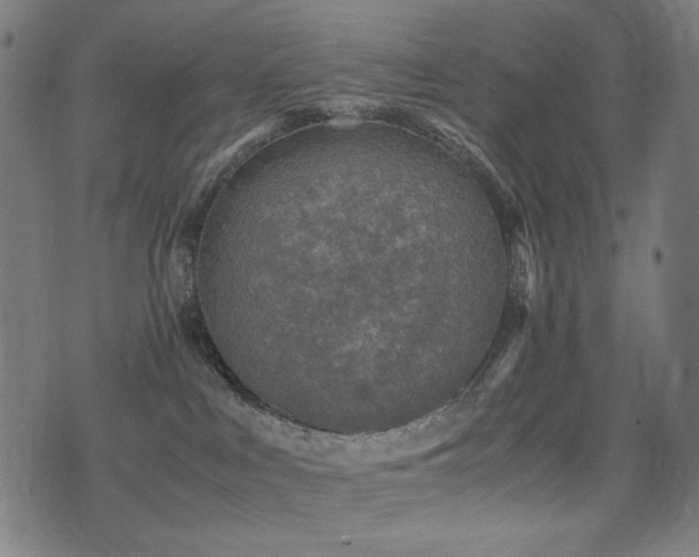 X0000075380043200609081216