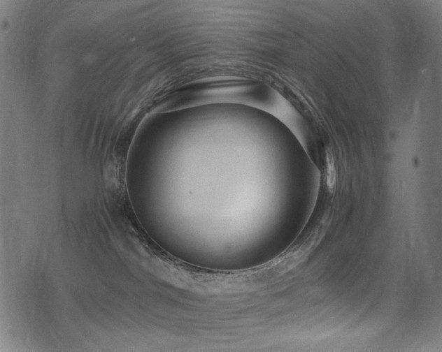 X0000075380044200609081216