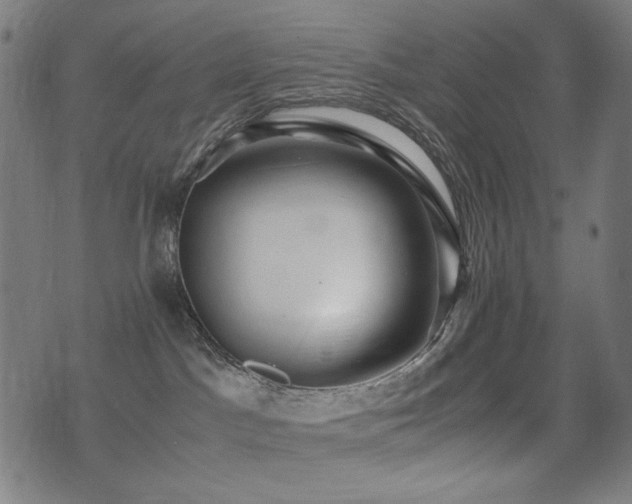 X0000075380045200609081216
