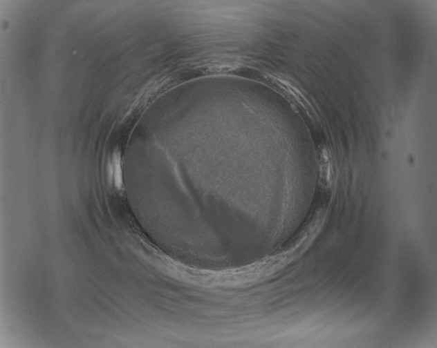X0000075380046200609081216