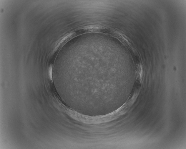 X0000075380047200609081216