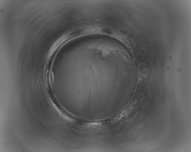 X0000075380053200609081215