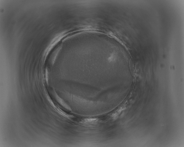 X0000075380055200609081215