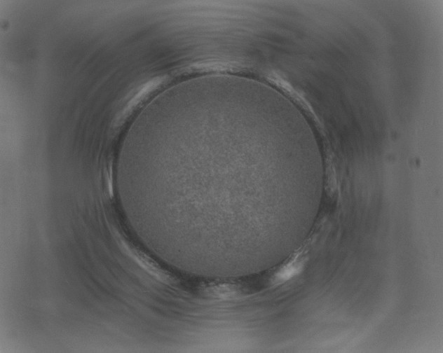 X0000075380062200609081215