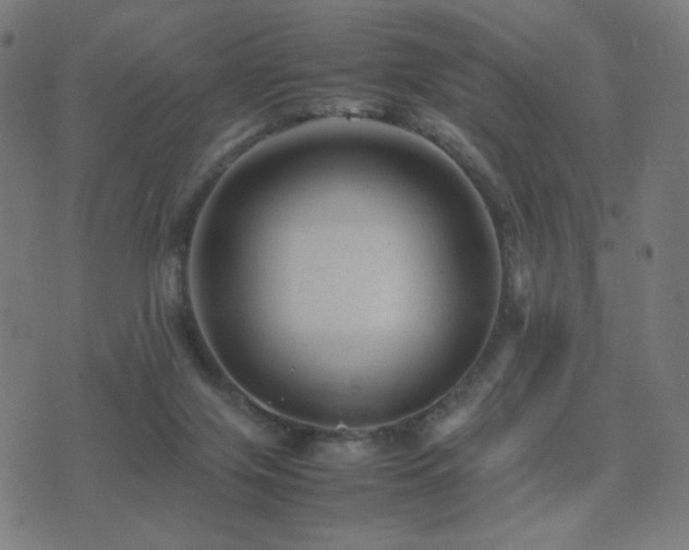 X0000075380071200609081215