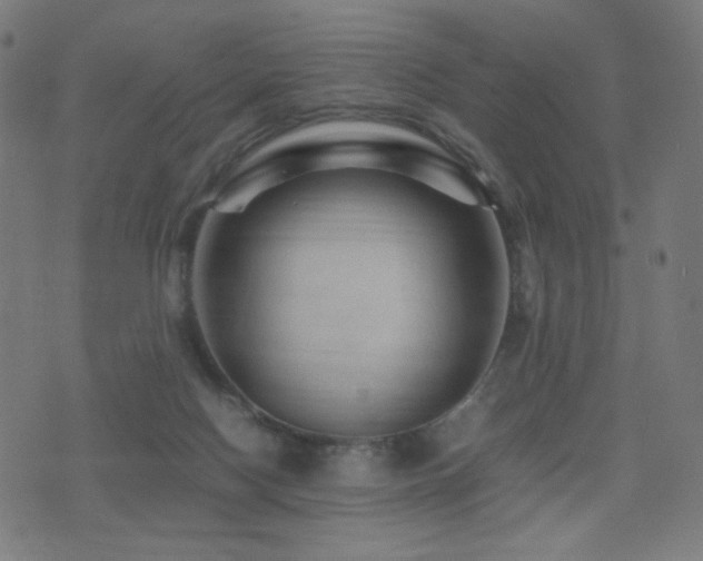 X0000075380074200609081215