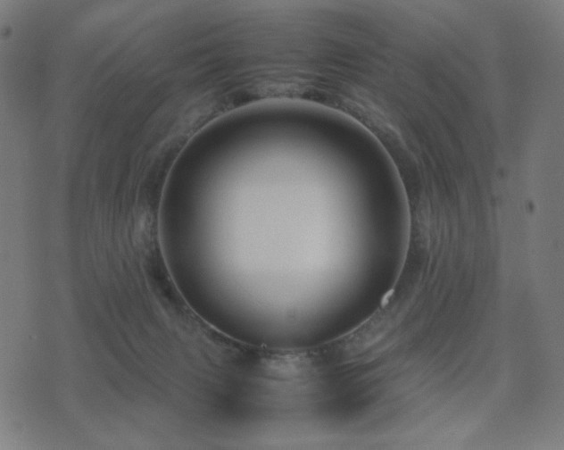 X0000075380079200609081215