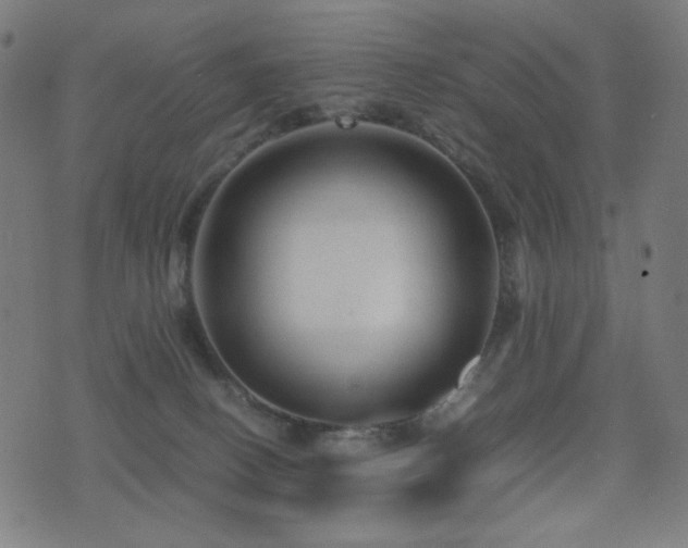 X0000075380082200609081215
