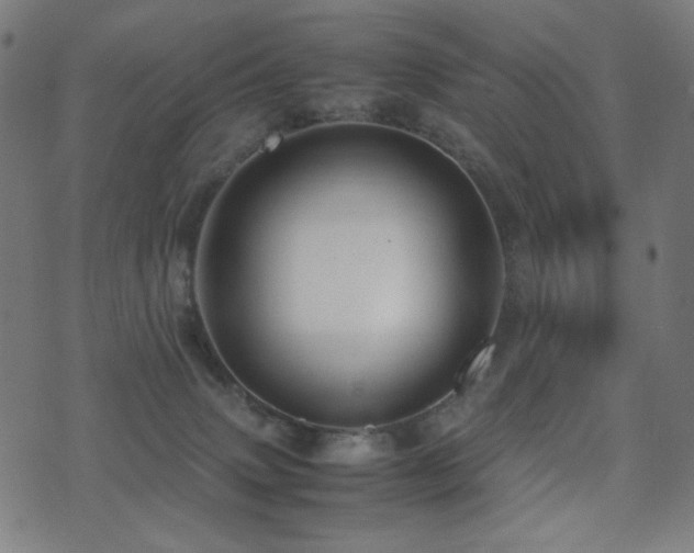 X0000075380083200609081215