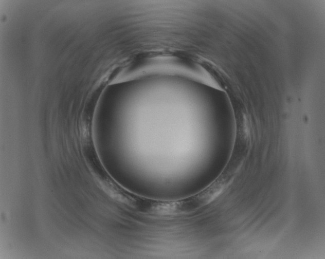 X0000075380084200609081215