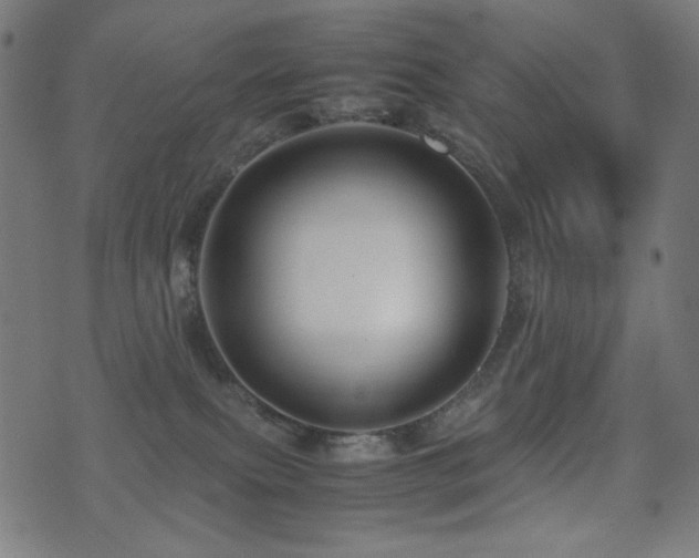 X0000075380087200609081215