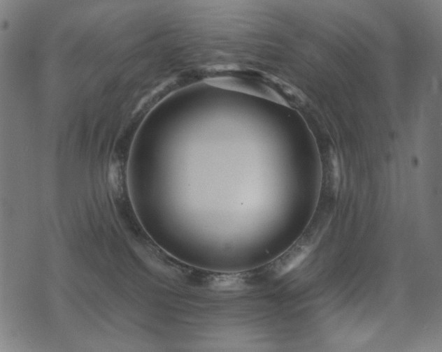 X0000075380088200609081215