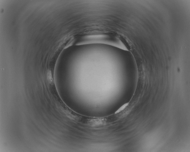X0000075380089200609081215