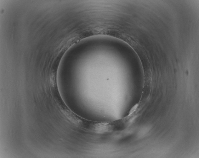 X0000075380090200609081215