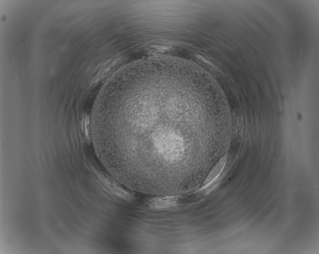 X0000075380094200609081215