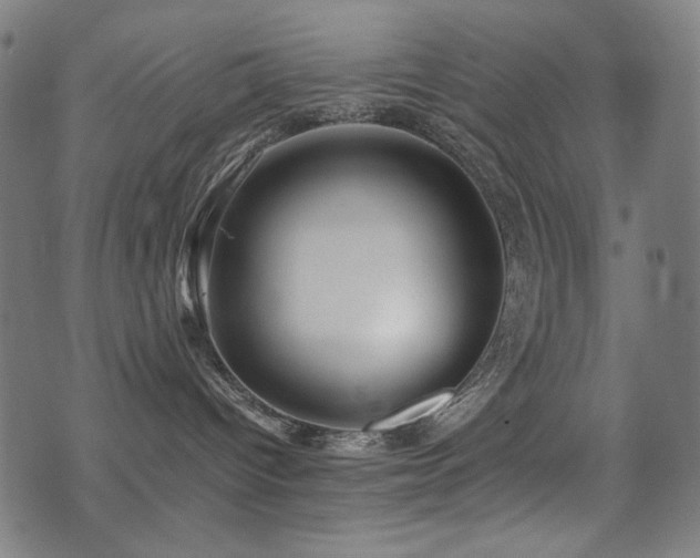 X0000075380096200609081216