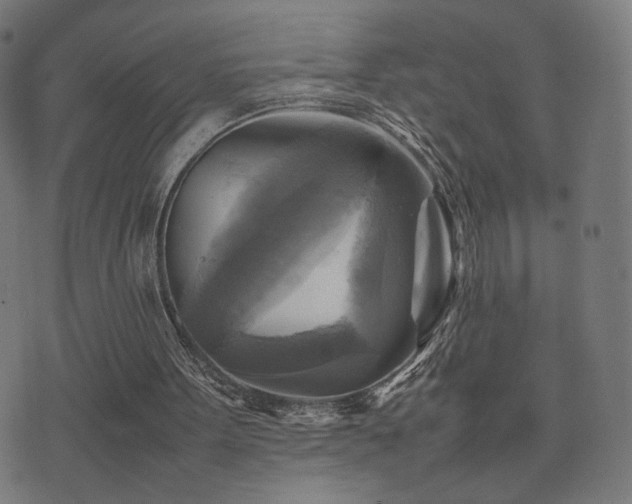 X0000075380099200609081215