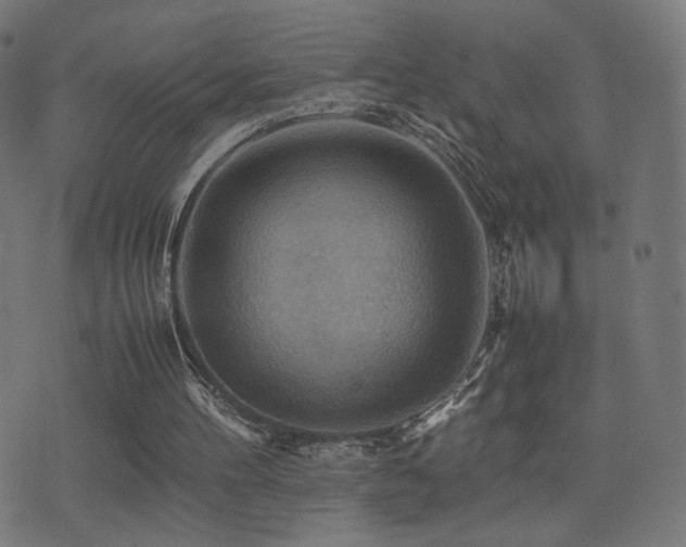 X0000075380100200609081215
