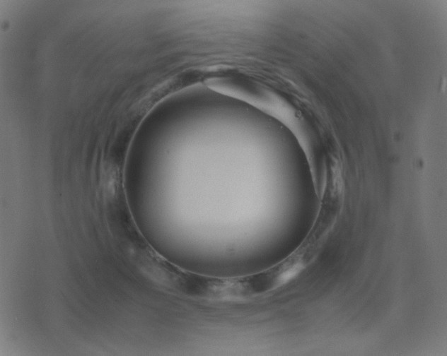 X0000075380125200609081214