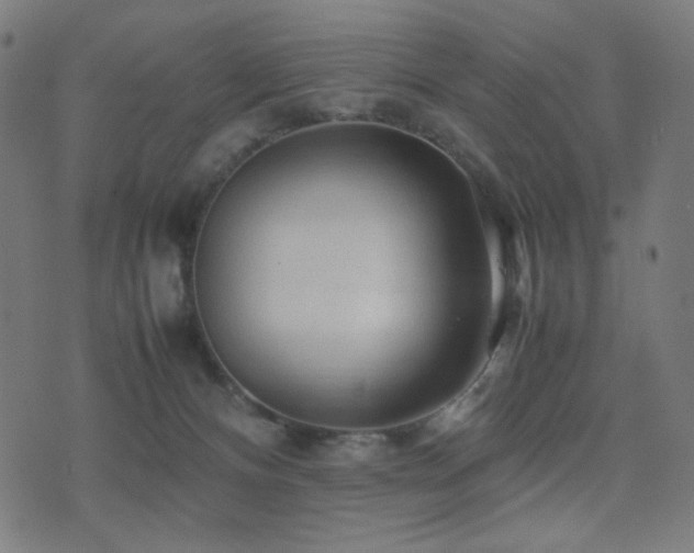X0000075380128200609081214