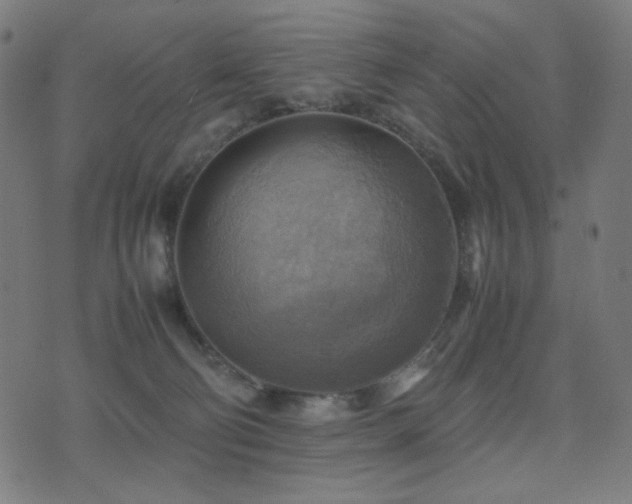 X0000075380130200609081214