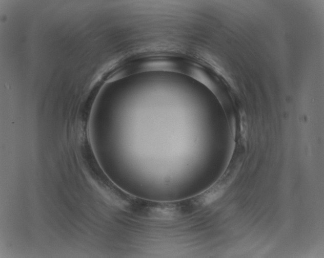 X0000075380164200609081213