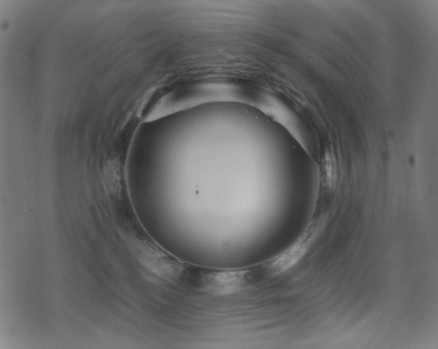 X0000075380184200609081214