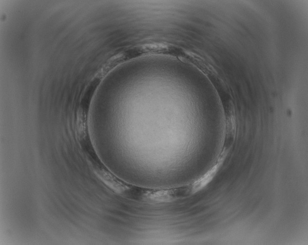 X0000075380186200609081214