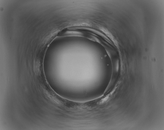 X0000075380201200609081213