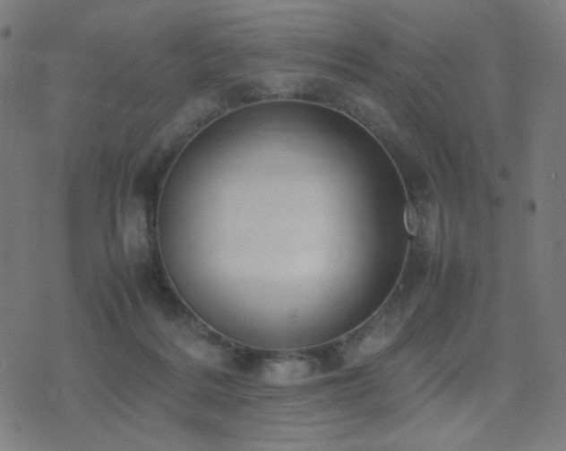 X0000075380220200609081213