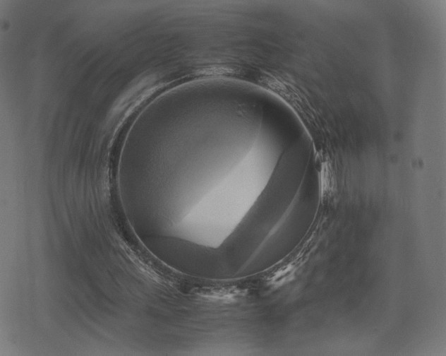 X0000075380243200609081212