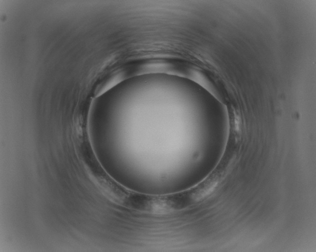 X0000075380264200609081212