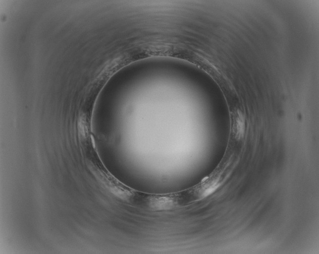 X0000075380287200609081212