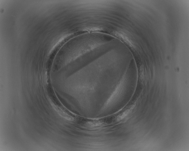 X0000075380351200609081210