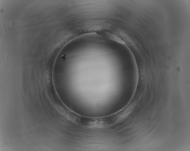 X0000075380362200609081210
