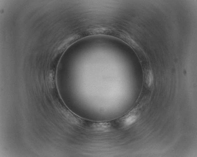 X0000075380378200609081211