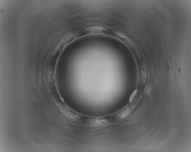 X0000075380379200609081211