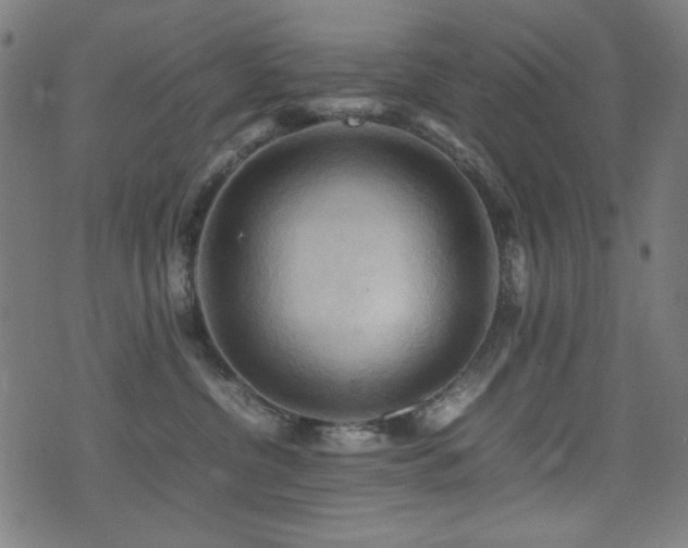 X0000075380380200609081211