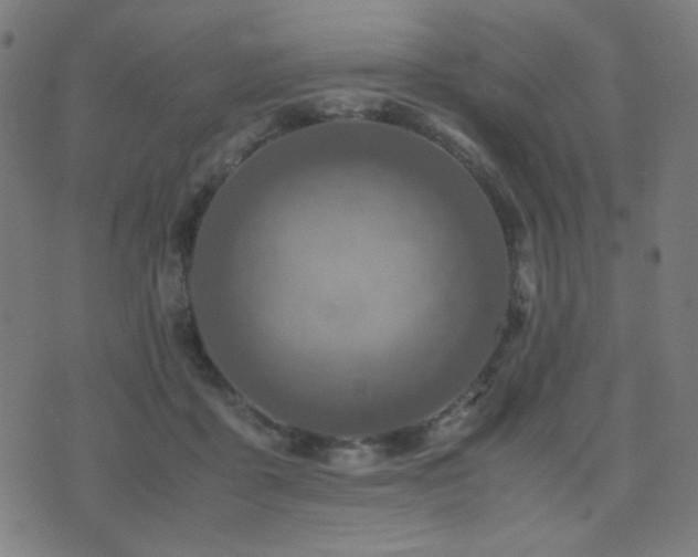 X0000075380411200609081210