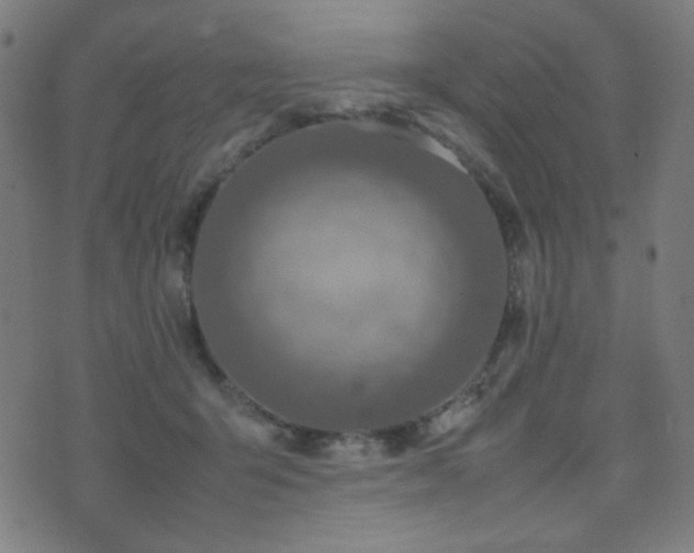 X0000075380415200609081210