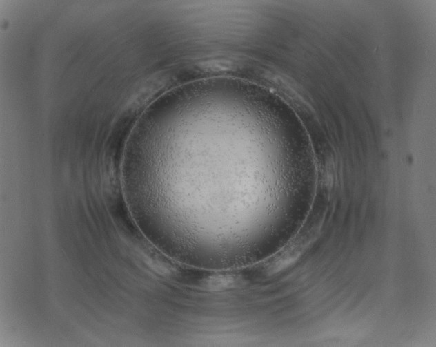 X0000075380418200609081209