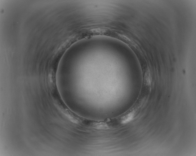 X0000075380424200609081209