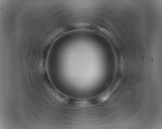 X0000075380428200609081209