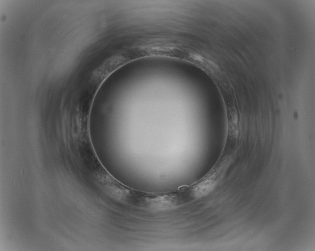 X0000075380430200609081209