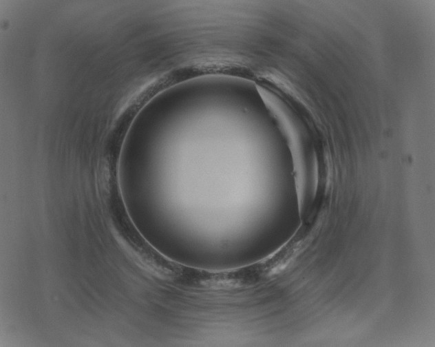 X0000075380448200609081209
