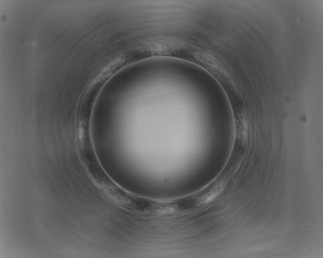 X0000075380456200609081209